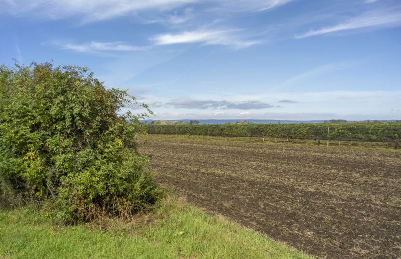 Field Clearing in Katy, TX
