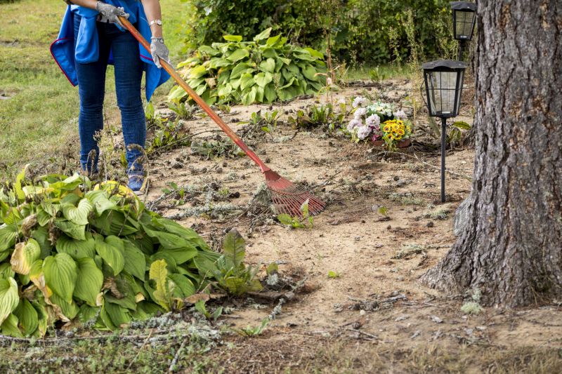 Site Cleaning in Salt Lake City, UT