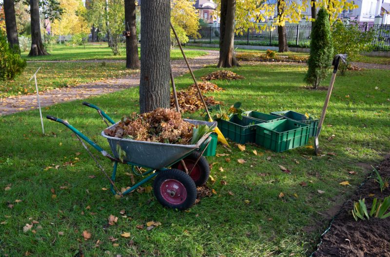Site Clearing Service in Marietta, GA