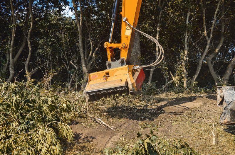Underbrush Clearing in Houston, TX