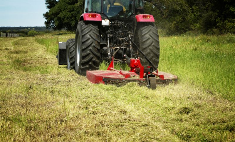 Brush Clearing Service in Houston, TX