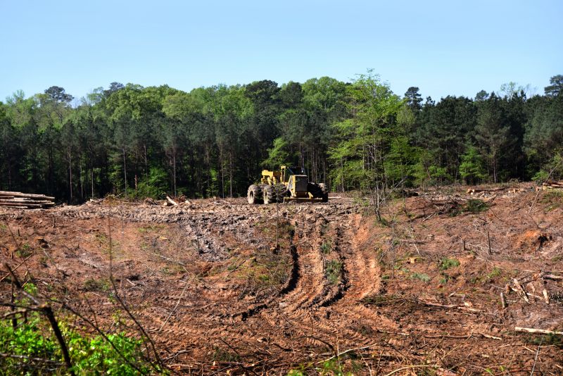Land Clearing in Atlanta, GA