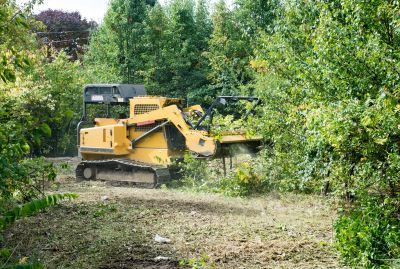 Pool Land Clearing in Atlanta, GA