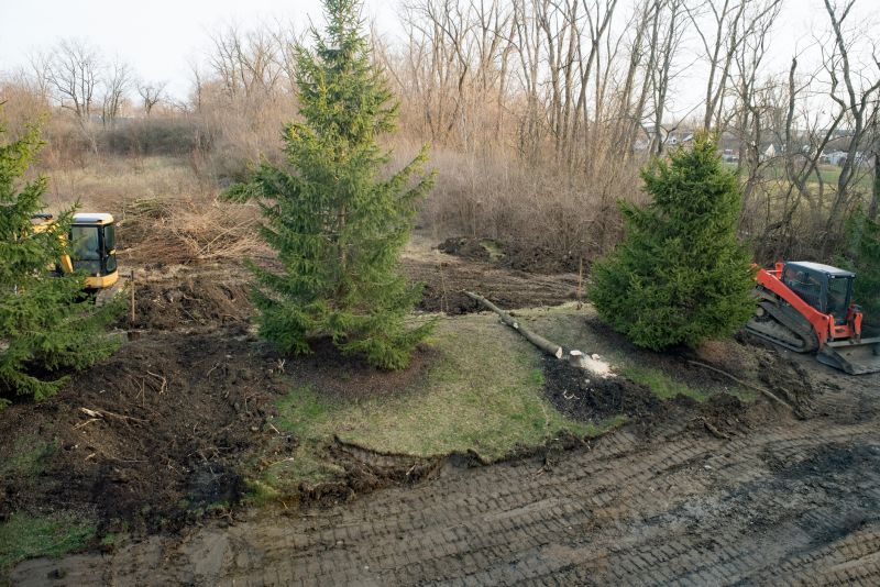 Thicket Clearing in Atlanta, GA
